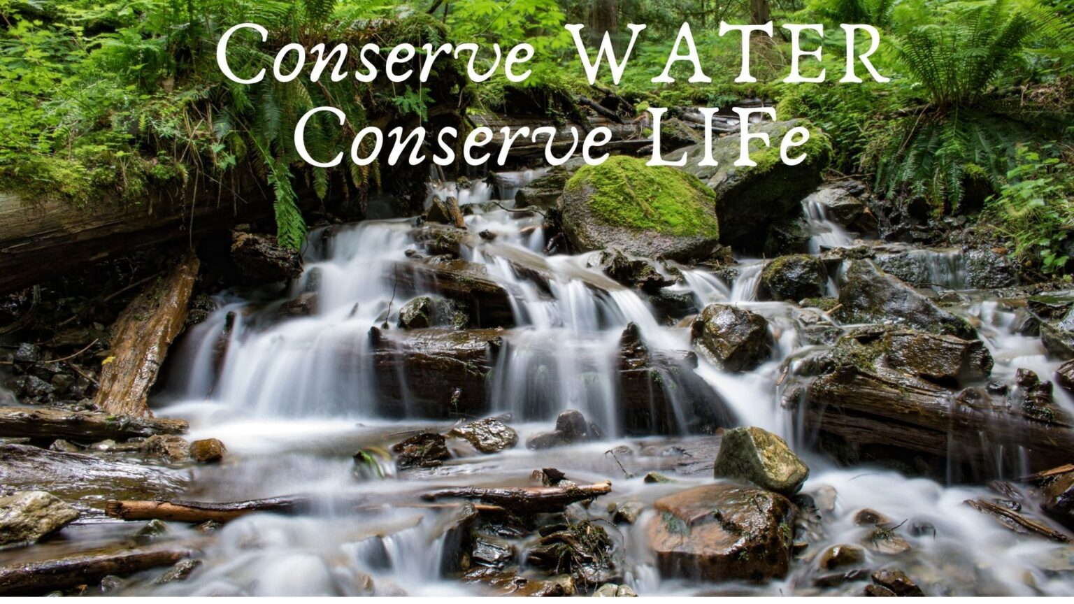 essay-on-water-conservation-in-english-let-s-learn