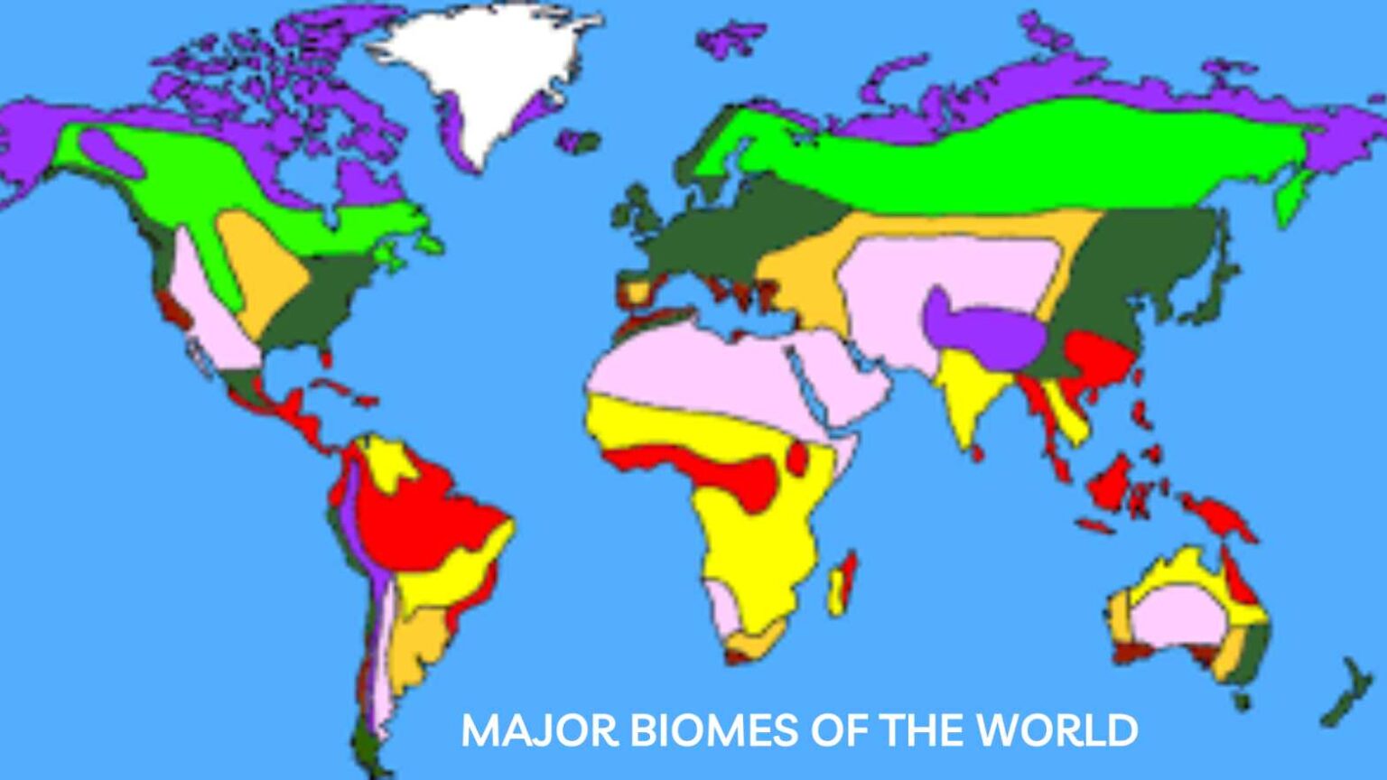 What are the Major Biomes of the World? Let's Learn